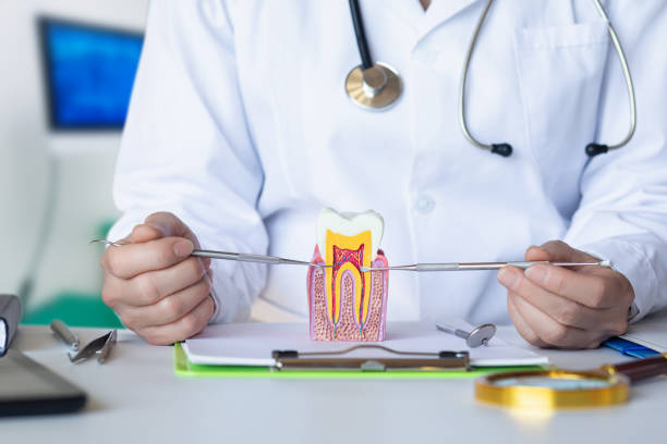 Best Chipped Tooth Repair Near Me  in Line Acres, MO